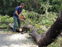 Best Seasonal Cleanup (Spring/Fall)  in Groesbeck, OH